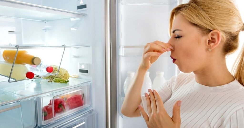 How Can I Remove Odors From My Refrigerator