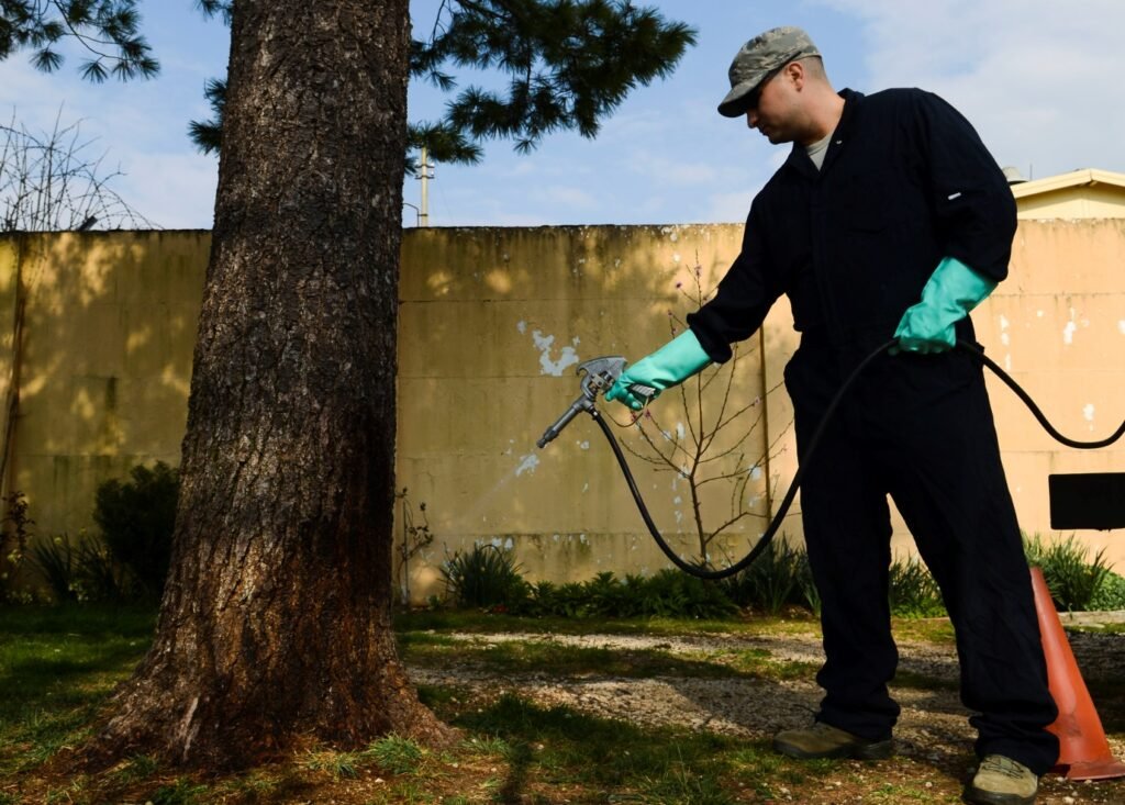 Pest Control in Lahore and Guide Pest Control