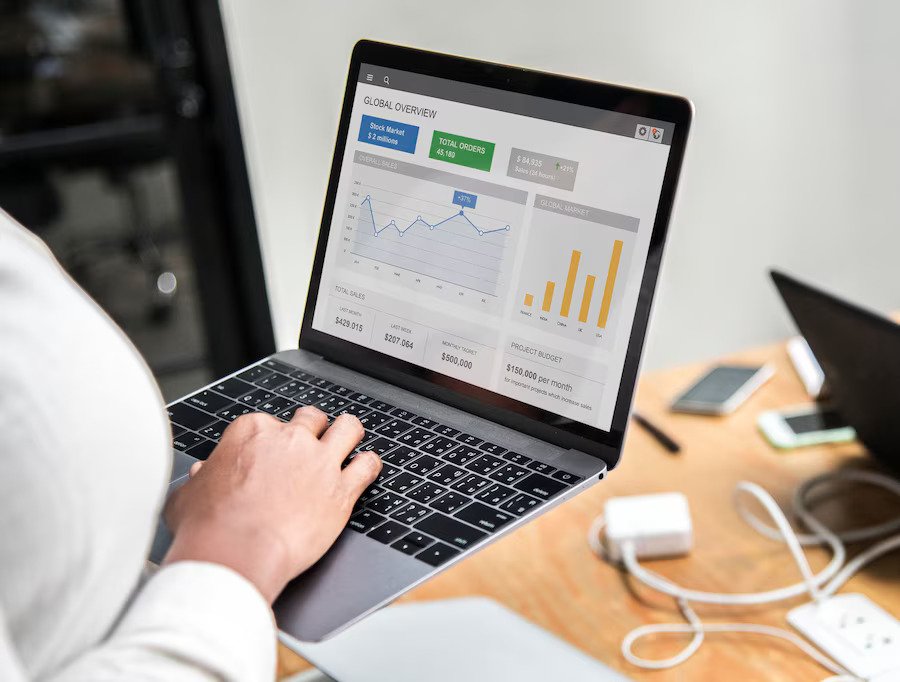 organic search services