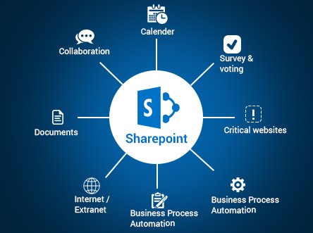 Exploring the Benefits of Microsoft SharePoint: A 2024 Guide