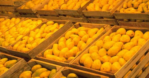 Mango Companies in Pakistan