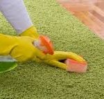 Organic carpet cleaning