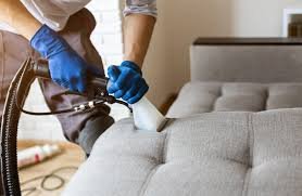 Upholstery Cleaning Staten island